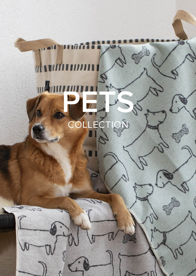 Hund mit Hundedecken von David Fussenegger