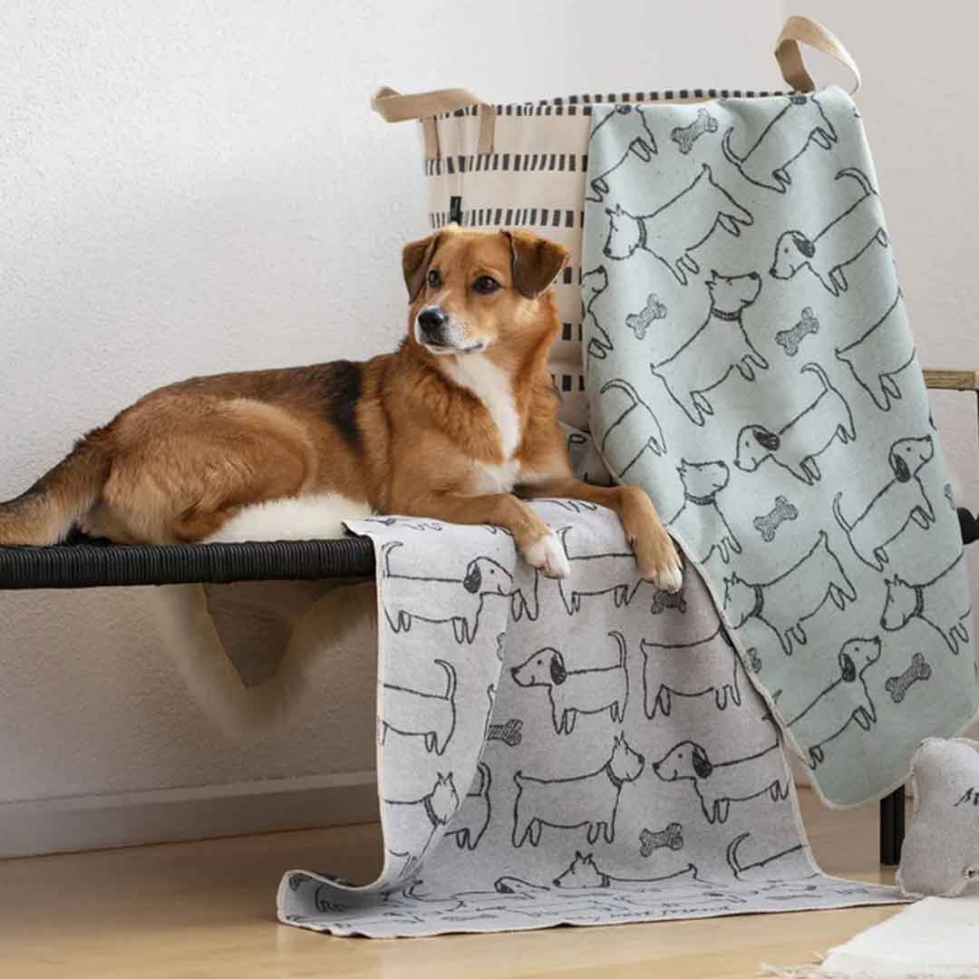 Heimtextilien von David Fussenegger